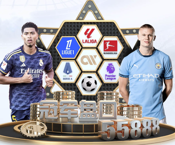 04月06日 意甲第31轮 莱切vs亚特兰大 全场录像回放